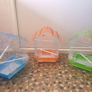 D-S Bird Cage