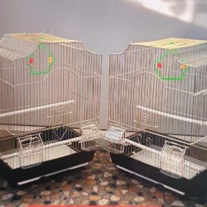 Golden Bird Cage-Sc