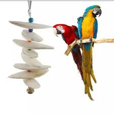 8 Pcs Parrot Cuttlebone Parakeet