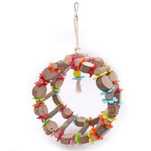 Ring of Fun for Birds Toy