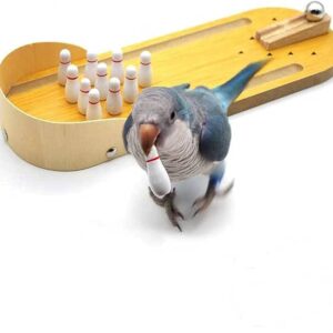 Parrot Intelligence Toy Training
