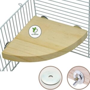 SS Organic Natural Wood Stand Platform Fan Shaped Bird Perch Stand Playground