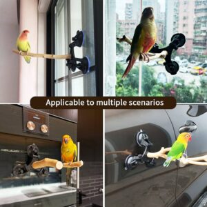 Wood Parrot Perch with Suction Cups Bird Window Perch Bird Bath Perch Bird Training Perch
