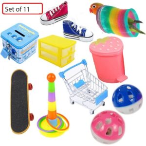 Funny Bird Training Toy