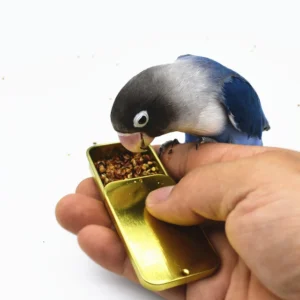 Bird IQ Growth Training Tools Interactive Toys