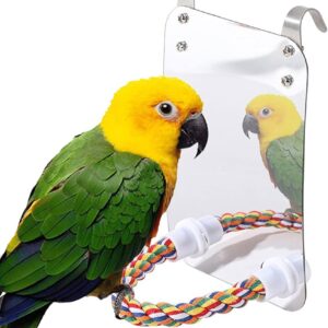 Bird Stand Perch with Acrylic Mirror