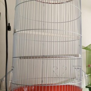 R-Bird Cage
