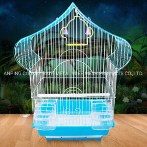 Royal Bird Cage
