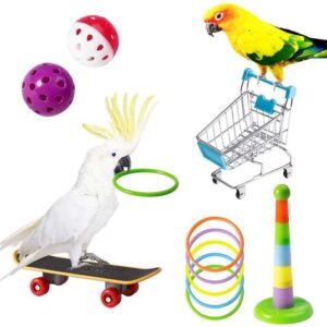 5 in 1 Set Parrot Toys