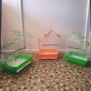 H-Bird Cage