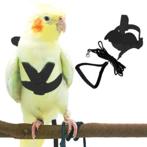 Leash Harness For Birds