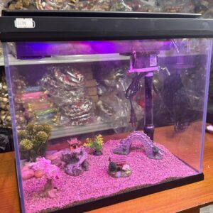 Yee Full Set Aquarium 2
