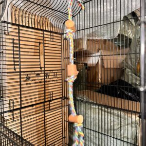 Birds addict BEANSTALK ROPE BIRD TOY
