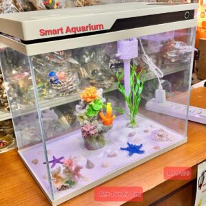 Yee Coral white Reef Automatic feeding humidity fish tank 46*42*27 Cm